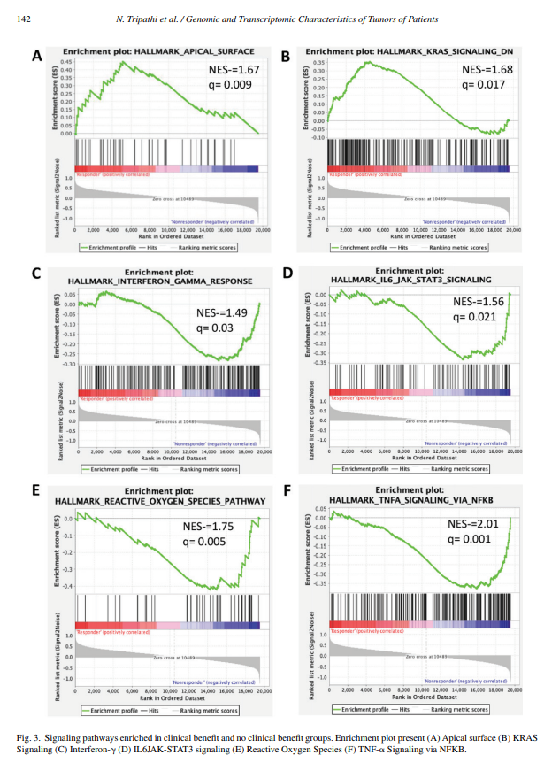 Kidney Cancer (@kca_journal) on Twitter photo Just In <a href="/KCA_Journal/">Kidney Cancer</a>: Real-world study shows tumor-specific gene expression by RNA sequencing could serve as a potential biomarker of response to ipi + nivo Rx for mRCC #kidneycancer @tripNish <a href="/neerajaiims/">Neeraj Agarwal, MD, FASCO</a> <a href="/montypal/">Sumanta K. Pal, MD, FASCO</a>👉tinyurl.com/mr3xfutf <a href="/OncoAlert/">OncoAlert</a> <a href="/kidneycan/">KidneyCAN</a> <a href="/urotoday/">UroToday.com</a> Just In <a href="/KCA_Journal/">Kidney Cancer</a>: Real-world study shows tumor-specific gene expression by RNA sequencing could serve as a potential biomarker of response to ipi + nivo Rx for mRCC #kidneycancer @tripNish <a href="/neerajaiims/">Neeraj Agarwal, MD, FASCO</a> <a href="/montypal/">Sumanta K. Pal, MD, FASCO</a>👉tinyurl.com/mr3xfutf <a href="/OncoAlert/">OncoAlert</a> <a href="/kidneycan/">KidneyCAN</a> <a href="/urotoday/">UroToday.com</a>