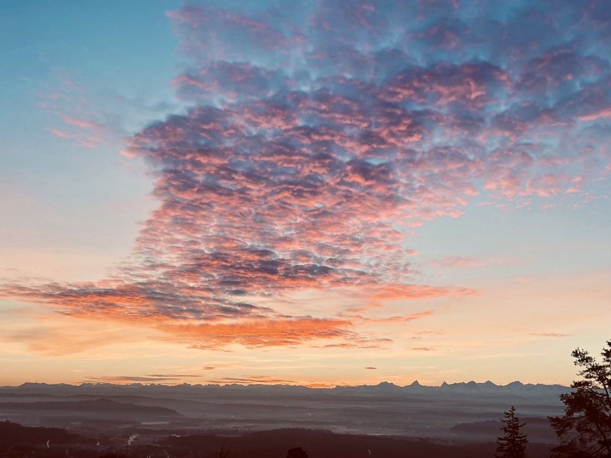 Cloud Reporter tweet media