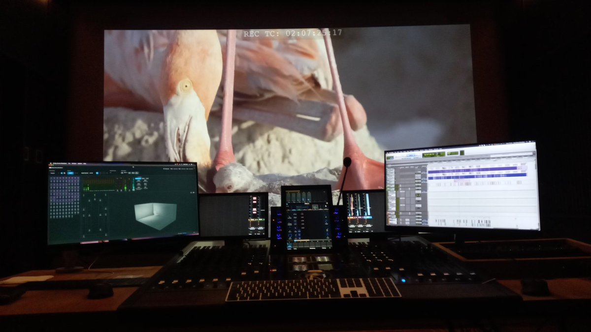 ZvnLP (@ivanledp) on Twitter photo El año termina muy atmosfericoso flamingoso🦩🦩🦩
#DolbyAtmos #surroundsound #documentarie #atmosmix #soundmix <a href="/Dolby/">Dolby</a> <a href="/DolbyCinema/">Dolby Cinema</a> <a href="/AvidProTools/">Avid Pro Tools</a> <a href="/Avid/">Avid</a> El año termina muy atmosfericoso flamingoso🦩🦩🦩
#DolbyAtmos #surroundsound #documentarie #atmosmix #soundmix <a href="/Dolby/">Dolby</a> <a href="/DolbyCinema/">Dolby Cinema</a> <a href="/AvidProTools/">Avid Pro Tools</a> <a href="/Avid/">Avid</a>