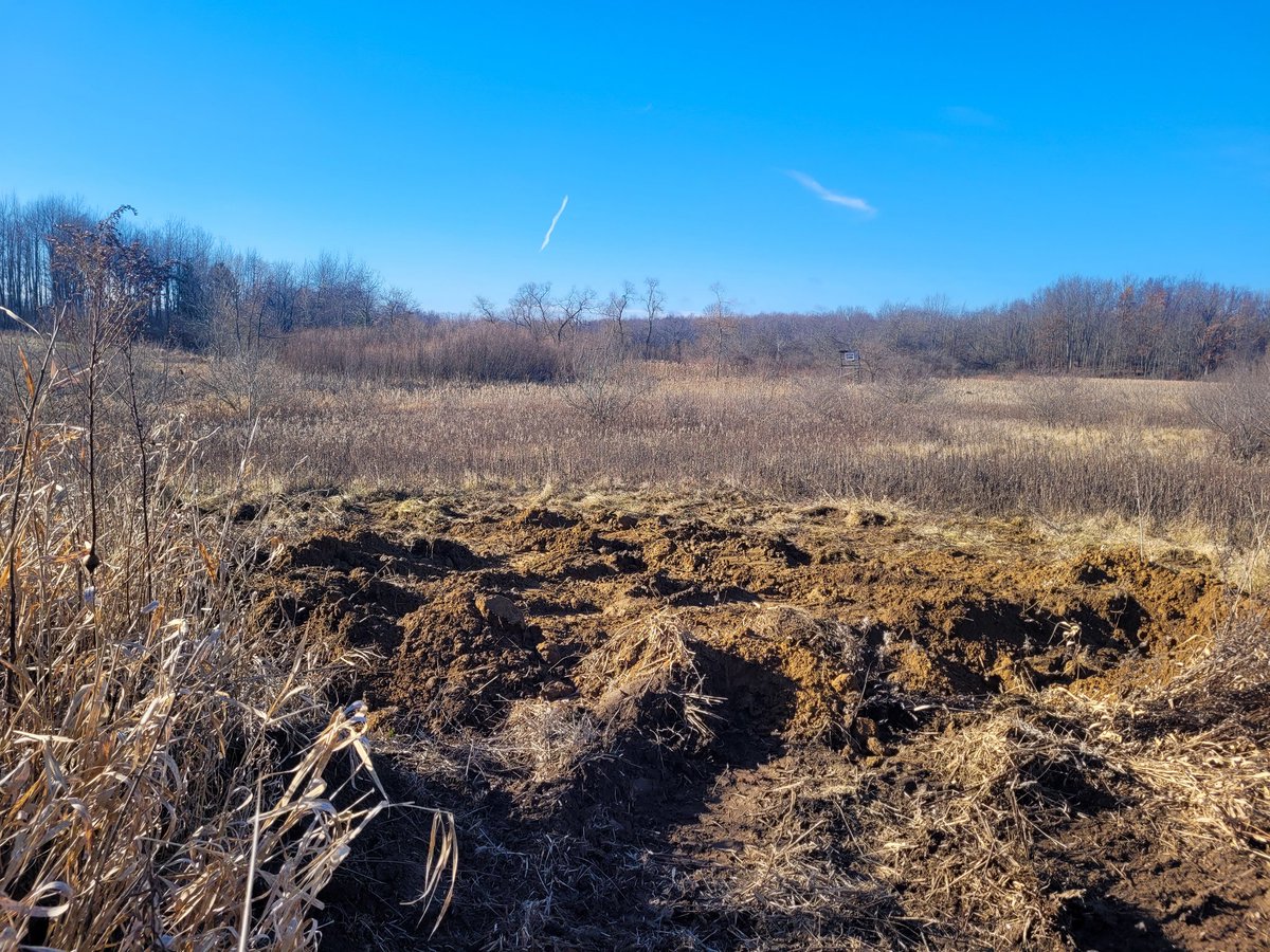 QueenCalima's tweet photo. Lyric's final resting place is atop a hill overlooking a spring fed pond. Thank you to everyone who bought a sketch to help us lay her to rest. https://t.co/i58ehBQ4VA