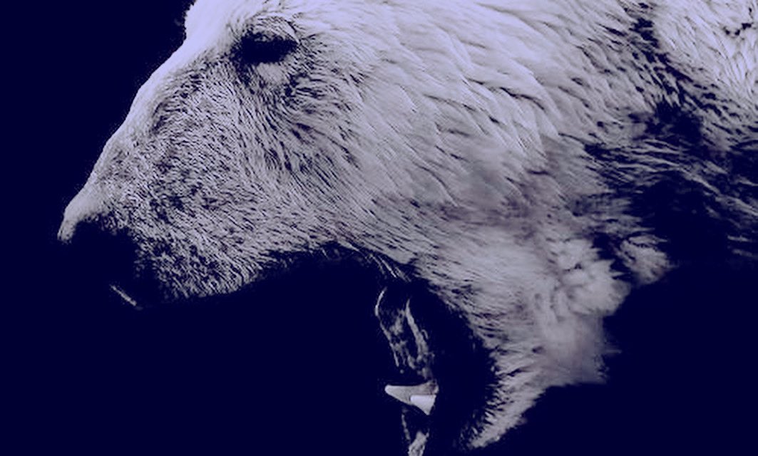 SSHIR0KUMA's tweet photo. 𝙸𝚏 𝚒𝚝’𝚜 𝚋𝚕𝚊𝚌𝚔, 𝚏𝚒𝚐𝚑𝚝 𝚋𝚊𝚌𝚔.

𝙸𝚏 𝚒𝚝’𝚜 𝚋𝚛𝚘𝚠𝚗, 𝚐𝚎𝚝 𝚍𝚘𝚠𝚗.

                  𝙄𝙁 𝙄𝙏’𝙎 𝙒𝙃𝙄𝙏𝙀, 𝙂𝙊𝙊𝘿𝙉𝙄𝙂𝙃𝙏.ᐟ

| #BNHARP | #MHARP | #BNHAOC | https://t.co/WFspBF91GK