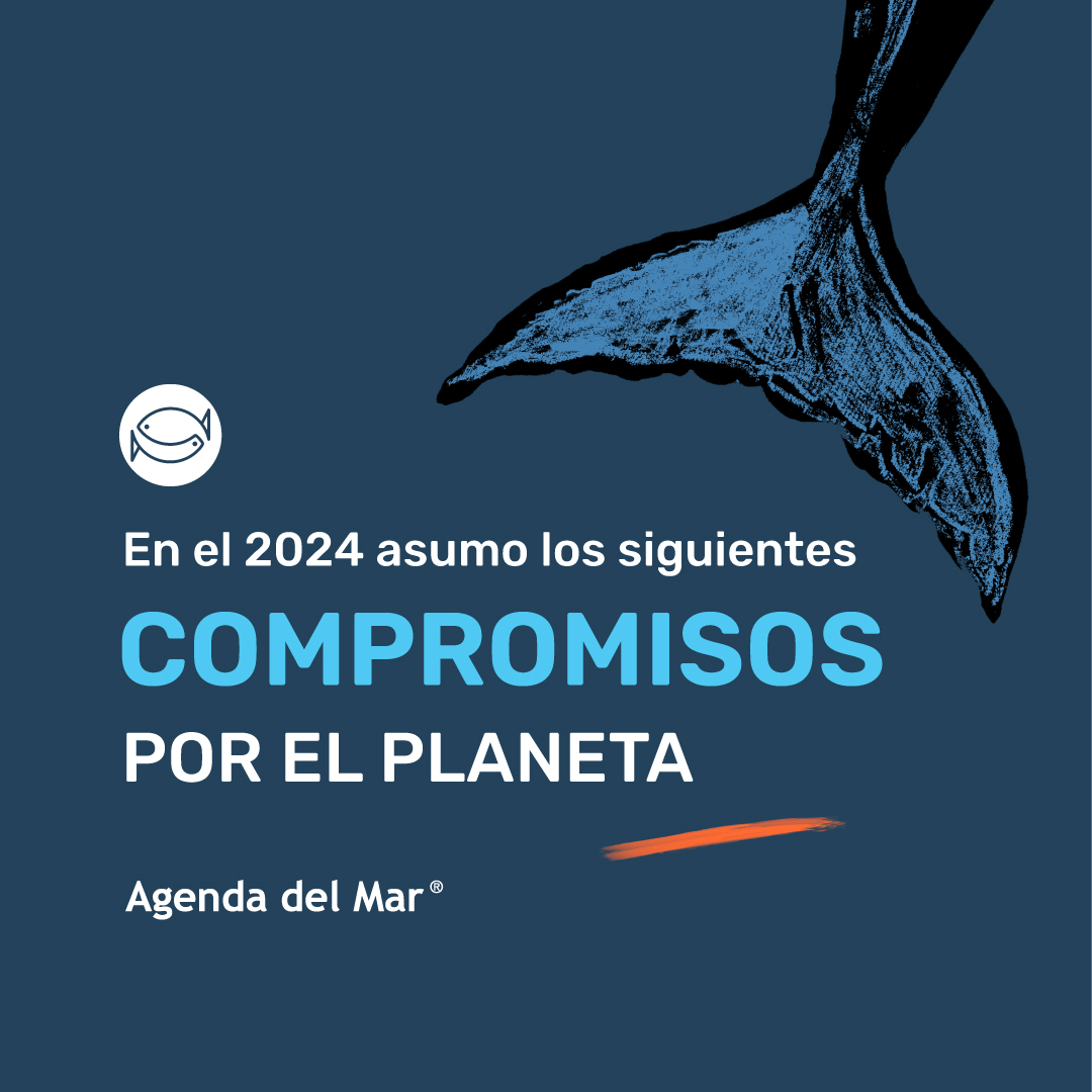 LaAgendadelMar's tweet photo. ¡Vamos a darle la bienvenida al 2024!
🌍 Te invitamos a comprometerte con ser más amigable con el planeta y con el🌊.
Aquí una lista que puede inspirarte a crear la tuya e irla ✅
¡Únete a este viaje hacia un 2024 más verde y azul! 💙🌿
#ElMarEmpiezaenCasa #CompromisoEco https://t.co/U3n5toAHYC