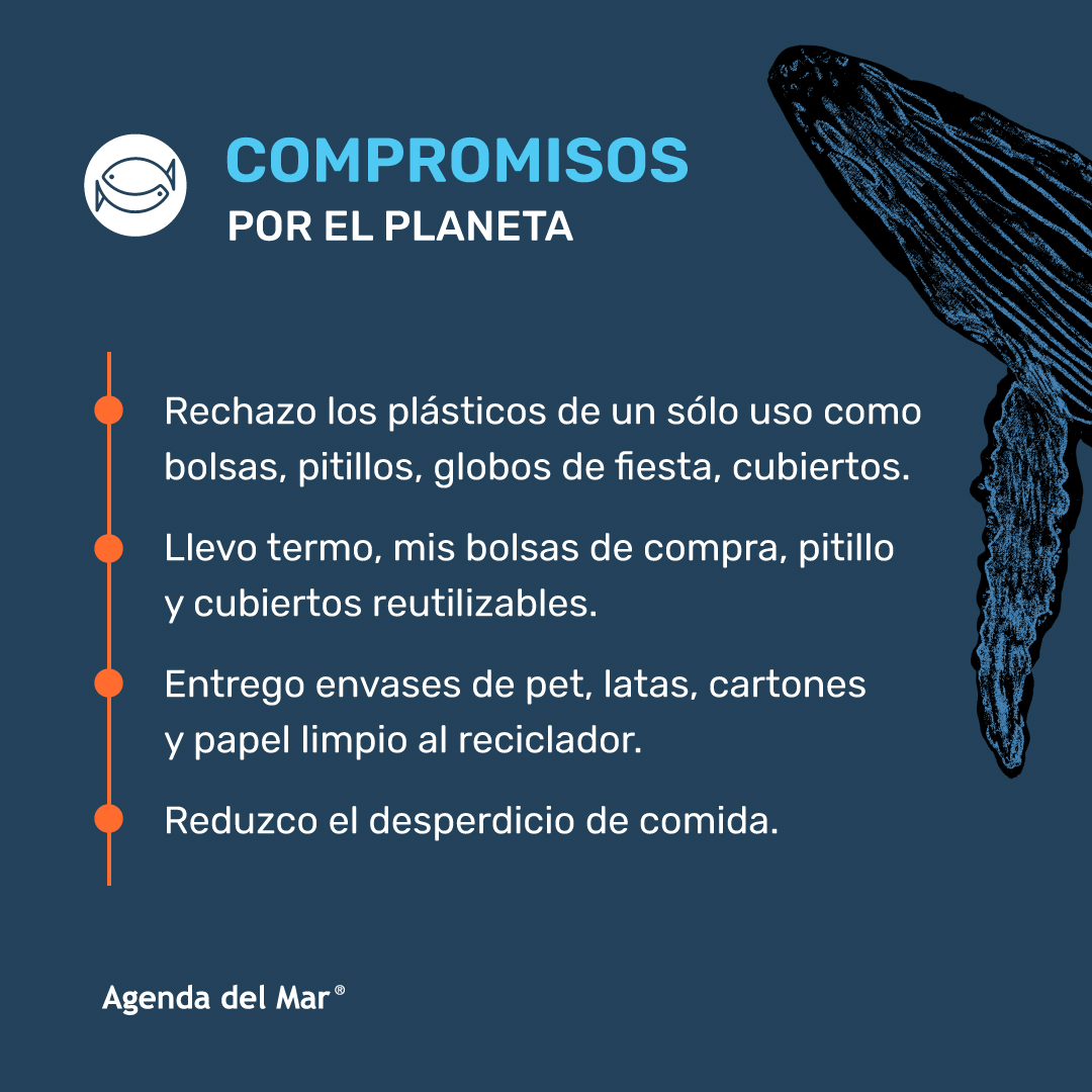 LaAgendadelMar's tweet photo. ¡Vamos a darle la bienvenida al 2024!
🌍 Te invitamos a comprometerte con ser más amigable con el planeta y con el🌊.
Aquí una lista que puede inspirarte a crear la tuya e irla ✅
¡Únete a este viaje hacia un 2024 más verde y azul! 💙🌿
#ElMarEmpiezaenCasa #CompromisoEco https://t.co/U3n5toAHYC