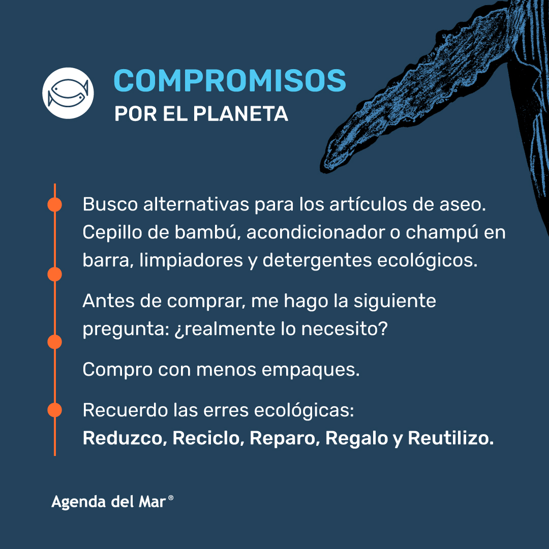 LaAgendadelMar's tweet photo. ¡Vamos a darle la bienvenida al 2024!
🌍 Te invitamos a comprometerte con ser más amigable con el planeta y con el🌊.
Aquí una lista que puede inspirarte a crear la tuya e irla ✅
¡Únete a este viaje hacia un 2024 más verde y azul! 💙🌿
#ElMarEmpiezaenCasa #CompromisoEco https://t.co/U3n5toAHYC