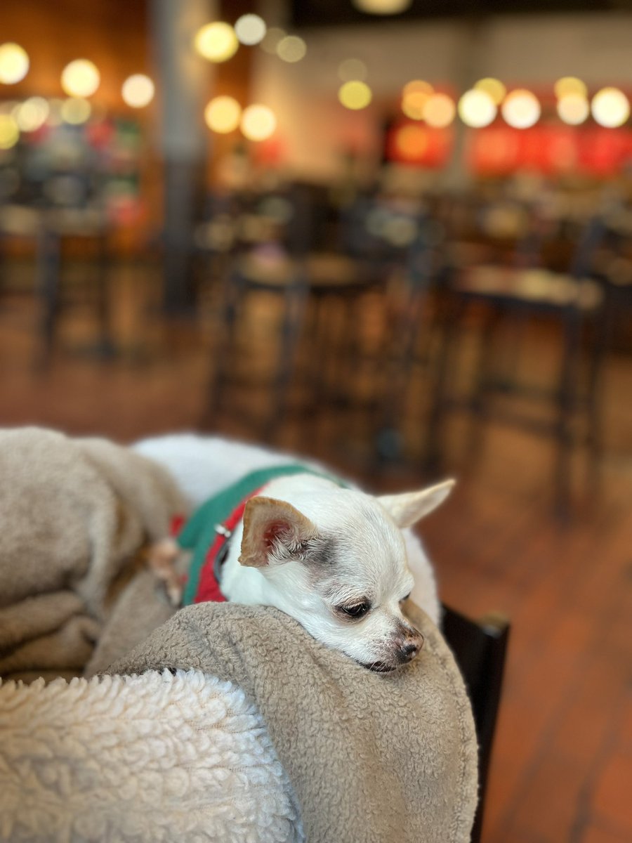 giorocksf's tweet photo. Coffee shop blues https://t.co/1lyKFJjSBt