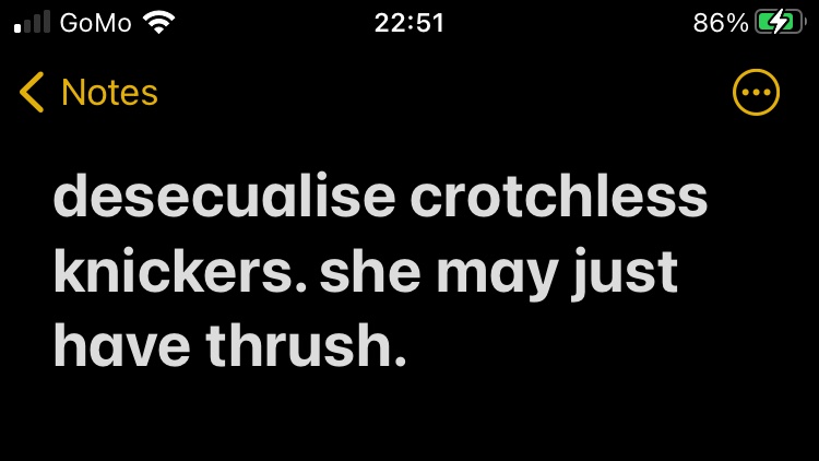 a vital thought I had at 6:20 this morning