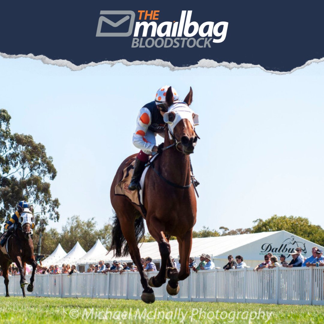 TMBBloodstock's tweet photo. #Scapini heads to Warwick today in Race 3 over 1500m 😎

She was a brave 2nd last start at Toowoomba over 1625m and with the 4 weeks between runs, the 1500m here looks very suitable 🙏 She is racing well and her next win doesn't look far away 🤞

Good luck to the owners! 💪 https://t.co/VO45w2UTkK