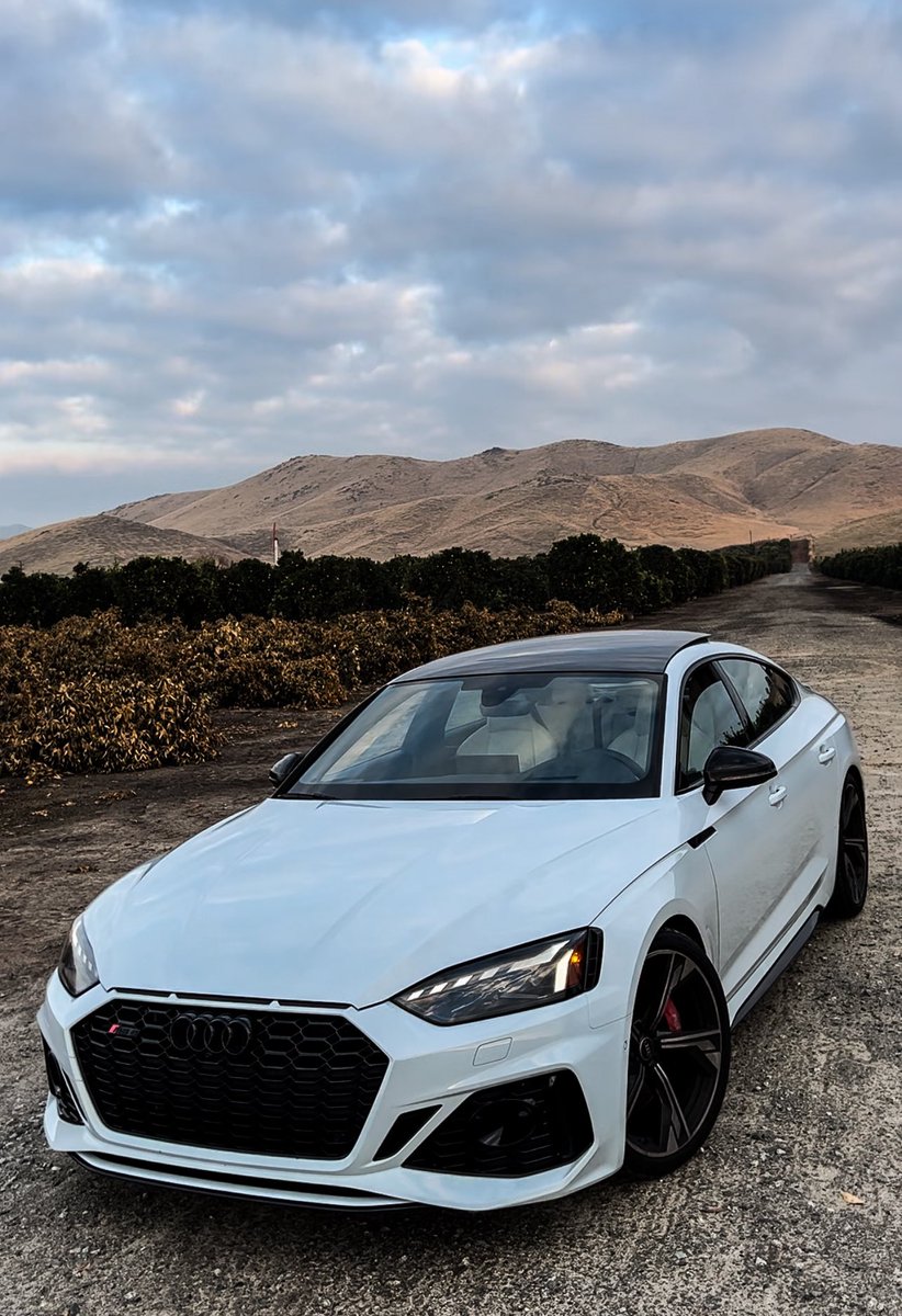 Jesse ⚡️ tweet media