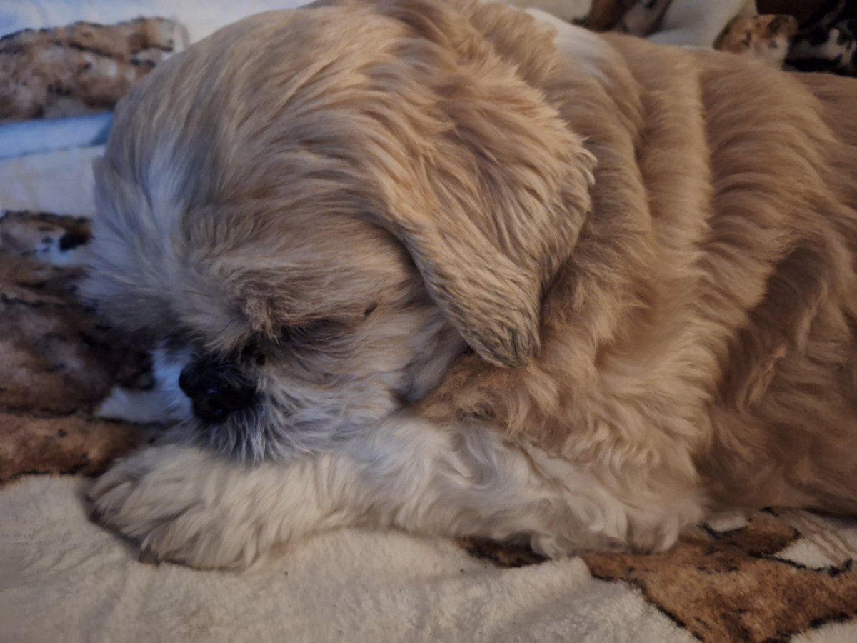 DjMissMonday tweet media