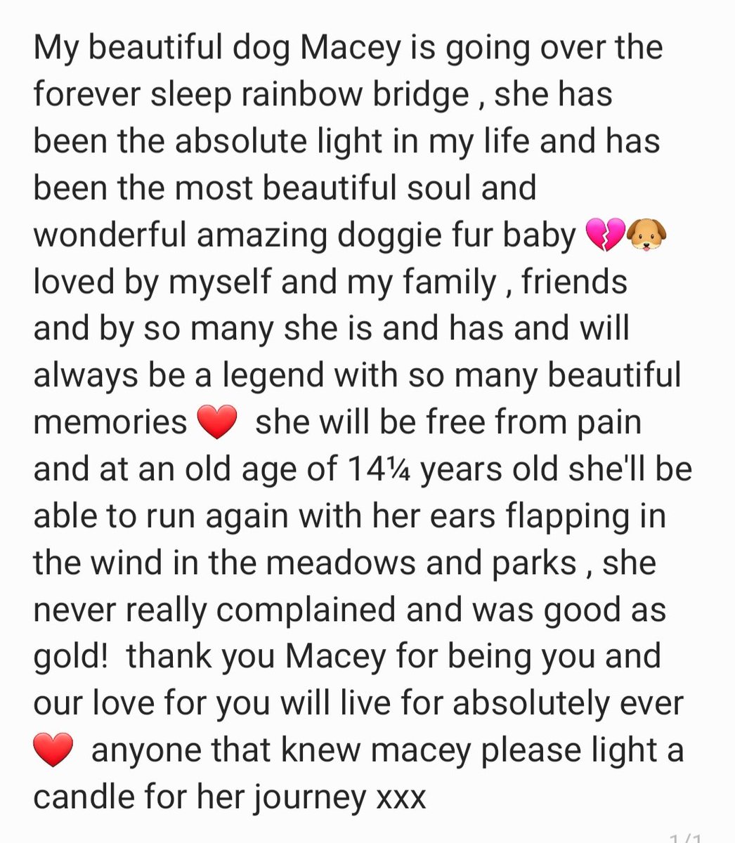 DjMissMonday tweet media