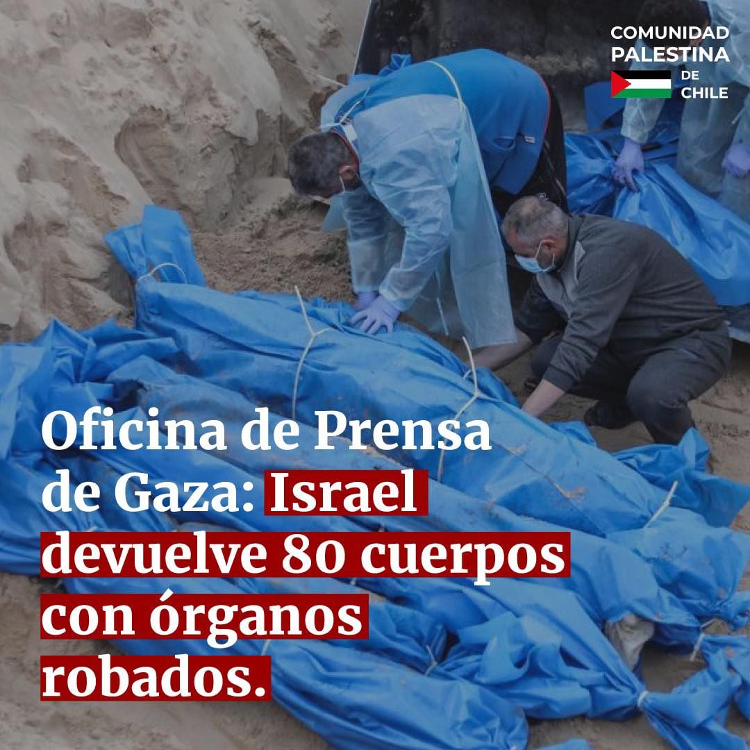 La Oficina de Prensa de Gaza acusó a Israel de robar órganos de 80 cuerpos de palestinos que devolvieron esta mañana en el borde de Karam Abu Salem. “La oficina de medios denuncia en los términos más enérgicos el desprecio del Ejército de ocupación por la dignidad de los cuerpos