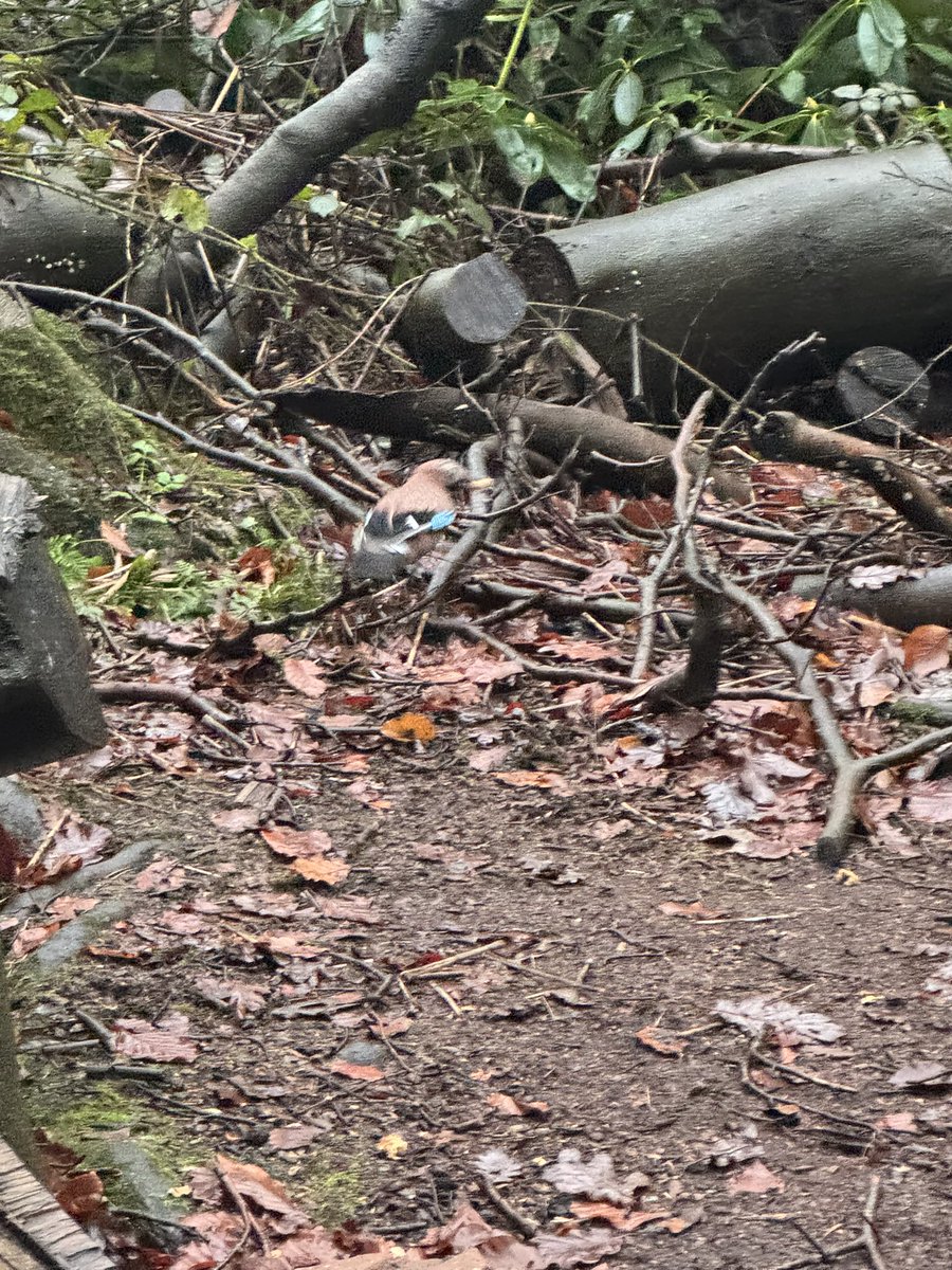 Gerry Mc Namee tweet media