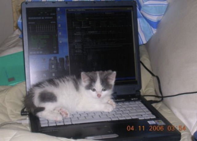 whats_ca's tweet photo. https://t.co/KPg8t3bIDn