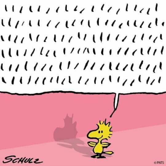 snoopyfanbase's tweet photo. WOODSTOCK WEDNESDAYYYYY !!! https://t.co/WXZUd9FNUK