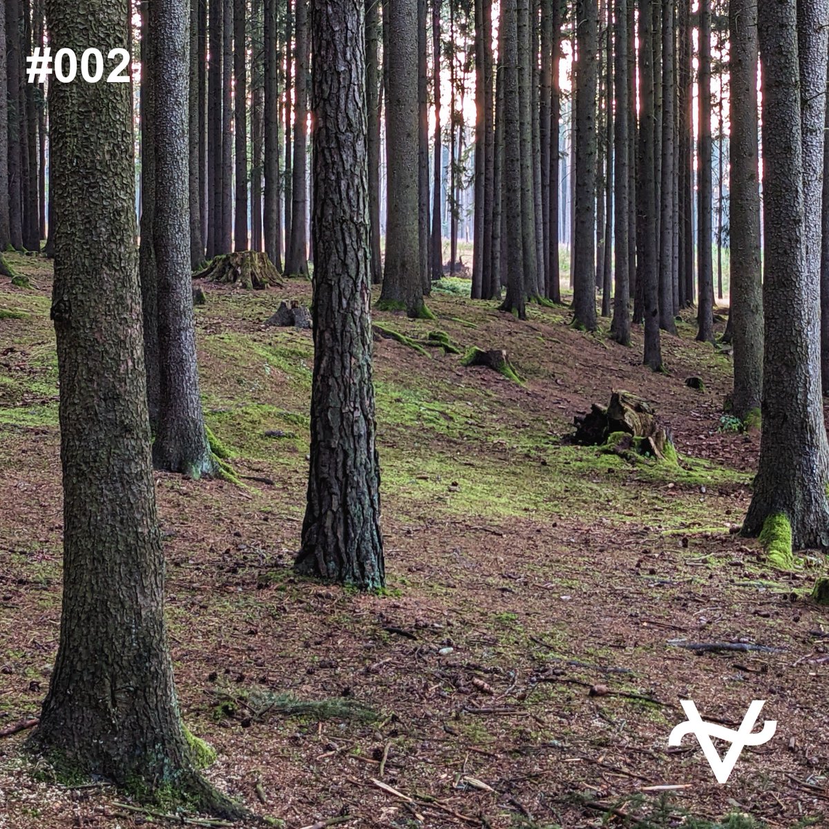 turn off the hate, no news today, just music. New set out from Drevjeno festival, enjoy on.soundcloud.com/DN9xN #psytrance