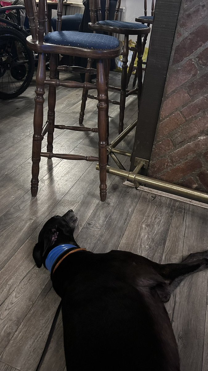 cathknibbs tweet media