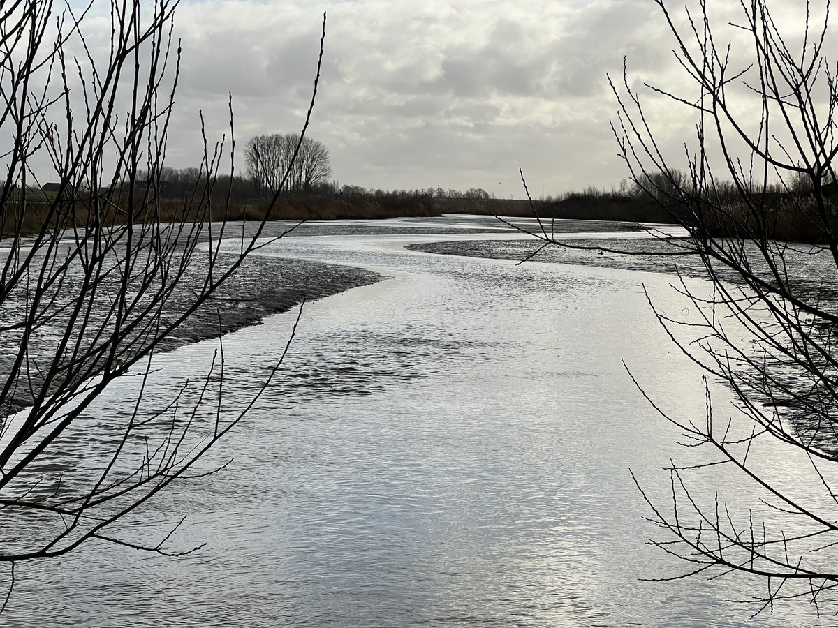 Ruimte voor de rivier bij de Hemelrijkse Waard #oss