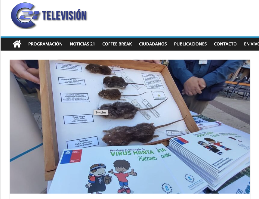 virushanta's tweet photo. Seremi de Salud confirma sexto caso de Hanta este año en Ñuble https://t.co/ixKCSKGrpE #hanta #hantavirus #Chile  @SeremiSalud16 vía @Canal_21tv #cuidemonosdelhanta https://t.co/PcDfp47HZL