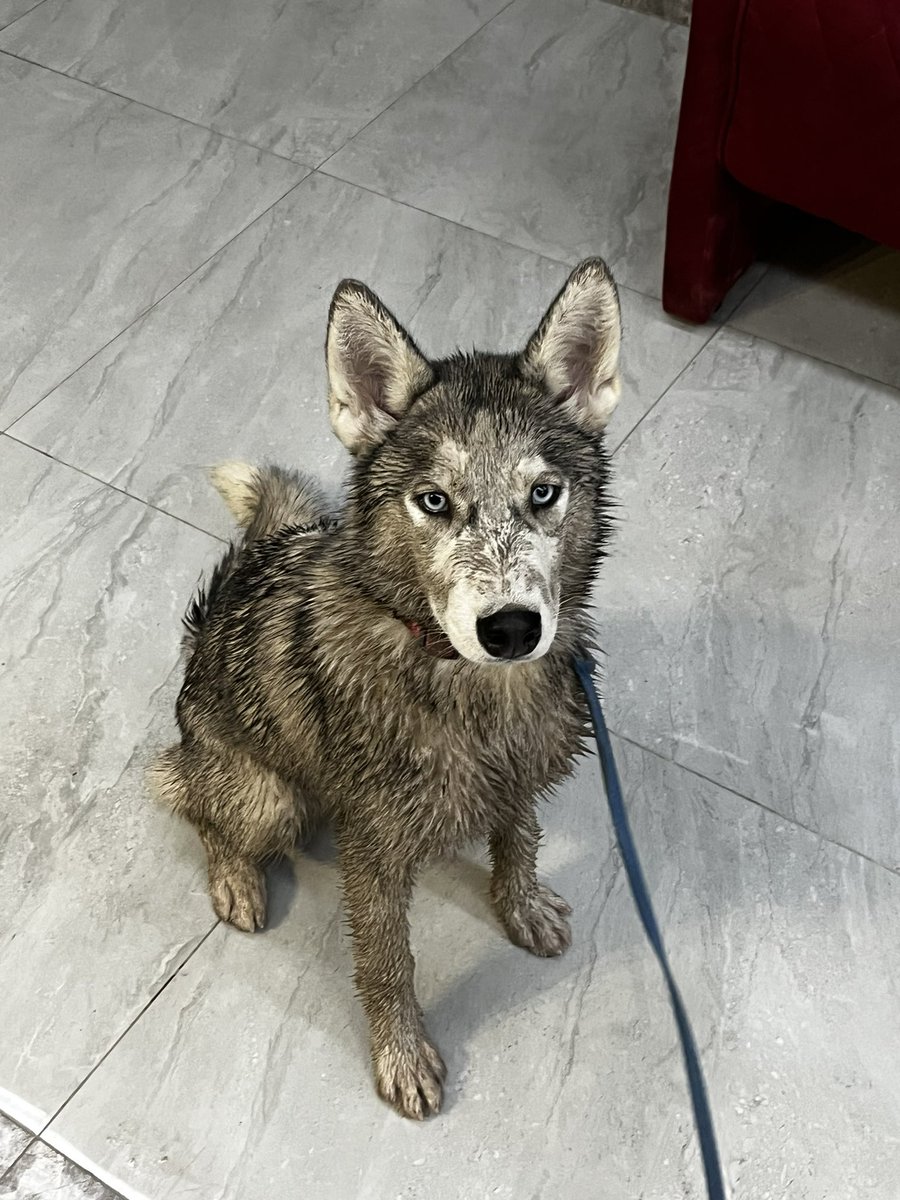 Артем: взяв першу відпустку за 3,5 роки

Скай: hold my beer