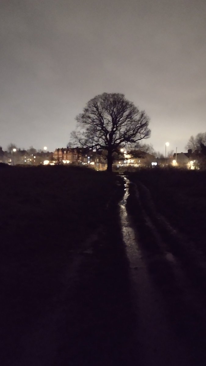 Michael⛅ tweet media