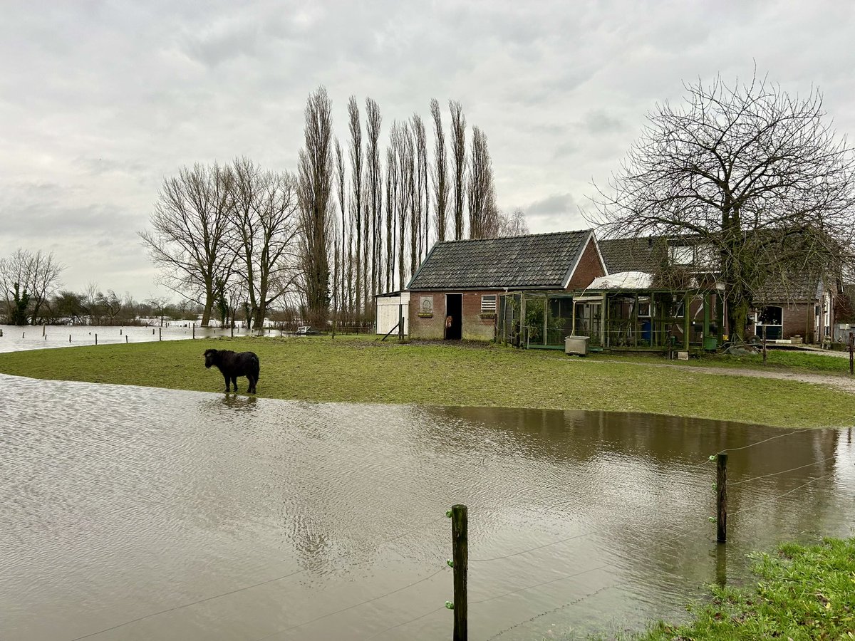 De laagst gelegen huizen op Fortmond, zijn bijna geheel omringd door water.