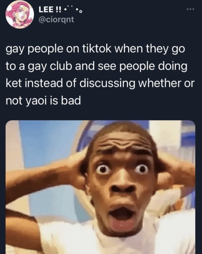 Every time I think abt engaging in some sort of queer discourse on this site I remember this image and stop. I think it's probably saved me countless headaches
