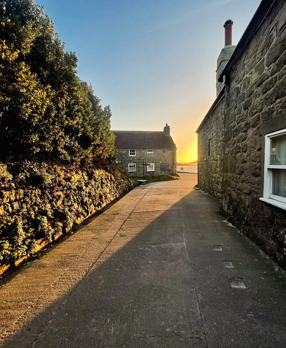 Happy between the two!! Love from <a href="/TrescoIsland/">Tresco Island</a> #workingaway