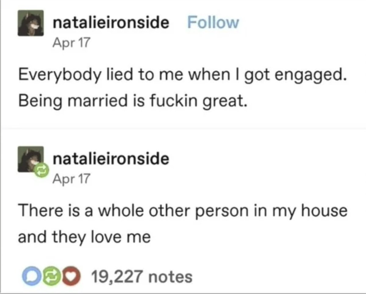 Respectful Memes (@respectfulmemes) on Twitter photo 