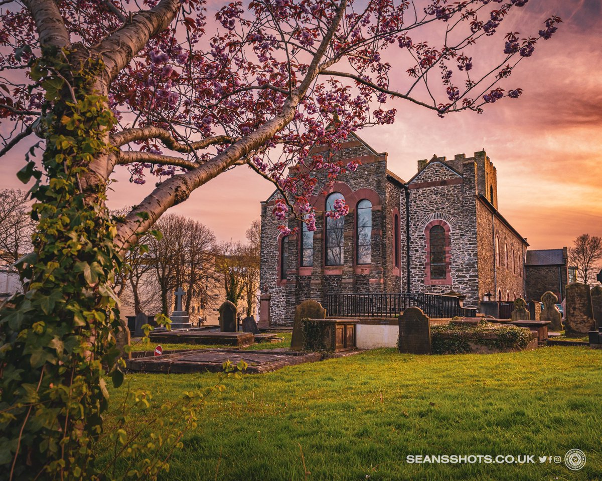 seansshots's tweet photo. Almost 10k pictures taken in April 2023. These are my favourite four images from that month. A close up shot of a rose, St Georges church with blossom at sunset, Stonechat take off and the winner of the Manx Mountain Marathon #myimages #favimages2023 #picsoftheyear2023 #iomstory https://t.co/8zFomIfiLN