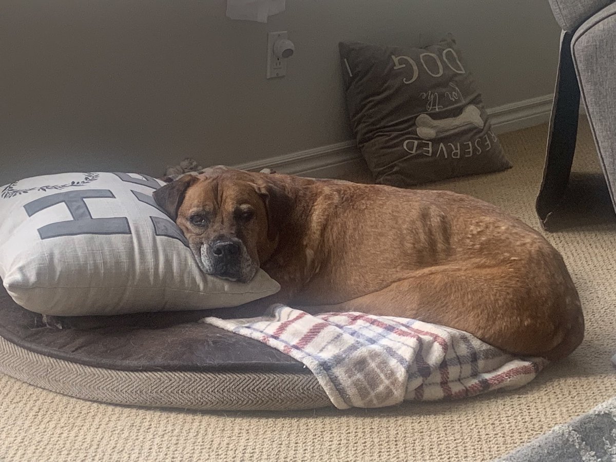 Amabel Puga tweet media