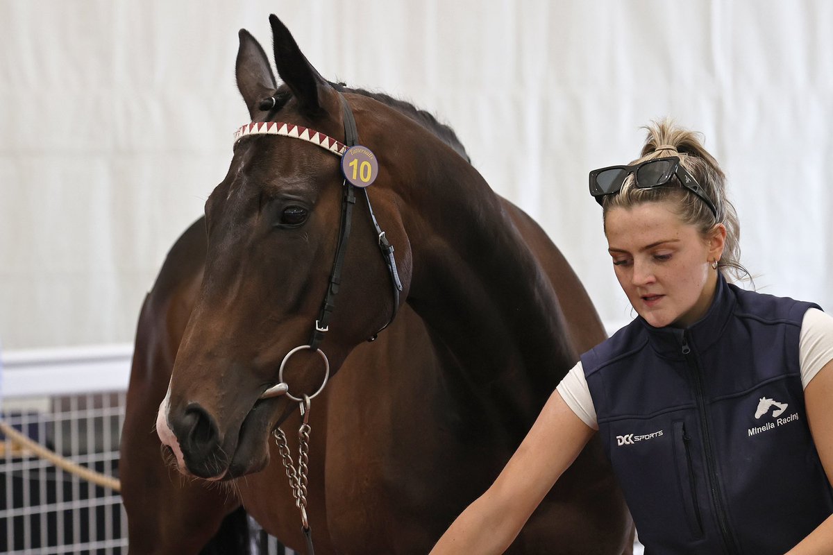 Debbie Burt (@deborahburt1) on Twitter photo MINELLA BLUEWAY 🇮🇪 (Champs Elysees) <a href="/Adamkwedge/">Adam Wedge</a> <a href="/EWilliamsRacing/">Evan Williams</a> #winners <a href="/Coral/">Coral</a> <a href="/Chepstow_Racing/">Chepstow Racecourse</a> <a href="/IREthoroughbred/">ITM</a> <a href="/MinellaRacing/">Minella Racing</a> <a href="/irishp2p/">p2p.ie</a> @tattsjcsales 📸 for <a href="/InterThorough/">International Thoroughbred</a> MINELLA BLUEWAY 🇮🇪 (Champs Elysees) <a href="/Adamkwedge/">Adam Wedge</a> <a href="/EWilliamsRacing/">Evan Williams</a> #winners <a href="/Coral/">Coral</a> <a href="/Chepstow_Racing/">Chepstow Racecourse</a> <a href="/IREthoroughbred/">ITM</a> <a href="/MinellaRacing/">Minella Racing</a> <a href="/irishp2p/">p2p.ie</a> @tattsjcsales 📸 for <a href="/InterThorough/">International Thoroughbred</a>