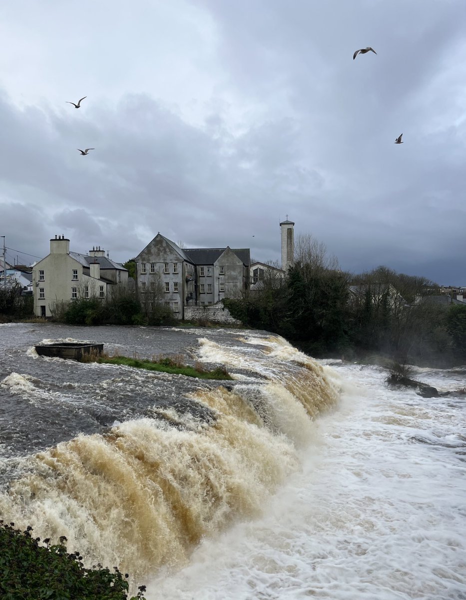 Prof. Pragya Agarwal tweet media