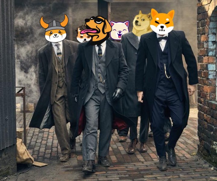 OnchainBuilderr's tweet photo. @JoinGrapeCoin @TheCryptoLark Excited to share my experience with Woof project! π Their innovative approach to help investors make earn more income. @wooftoken is a game-changer. π Join the Woof community and be part of the future! πΎ #WoofProject $WOOF https://t.co/SJsKQMidPm