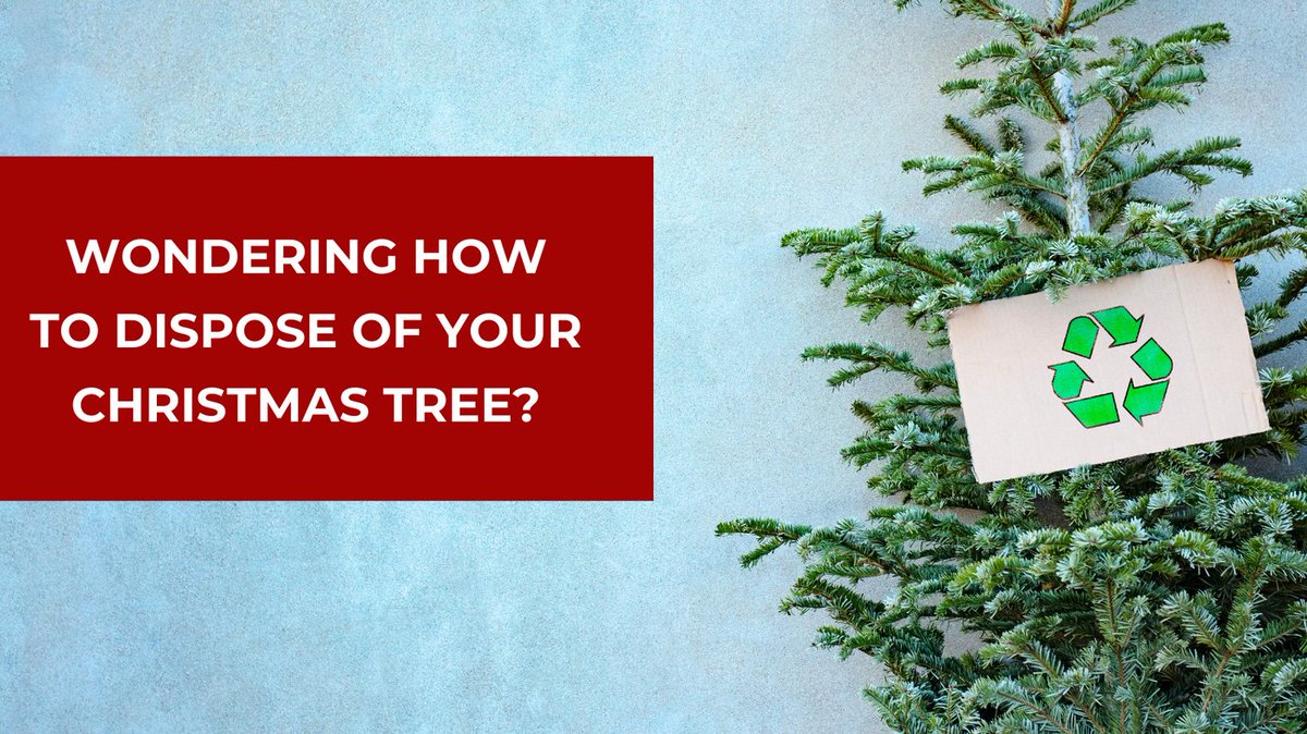 ocwaste's tweet photo. The holiday season is wrapping up. π
π Find out how you can properly dispose of your Christmas tree after the holidays! π€
Check with your local waste hauler for tree disposal in your area. Visit https://t.co/vlP89YXHCZ for more information.
#OCWasteandRecycling #TreeRecycle https://t.co/VYGqVjkdWE