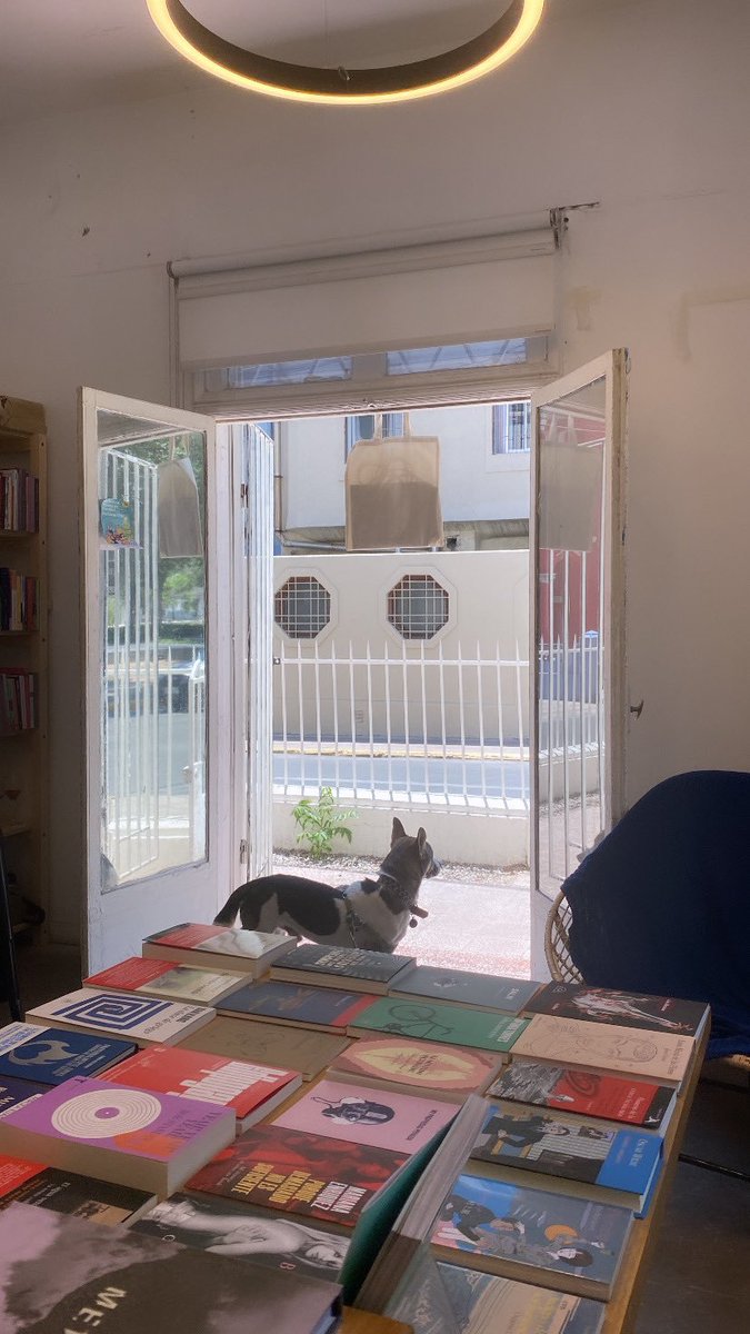 El laboratorio creativo de imagen y texto será en La inquieta librería, en un espacio íntimo y fresquito con olor a libros. Grupos miércoles o sábado a las 19:00. Detalles vía fcayanez@gmail.com