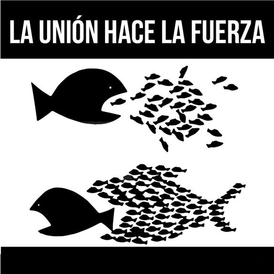 fvmluchaonline's tweet photo. #27Dic La unión nos hace tan fuertes, como débiles la desunión. Esopo
Recordemos la importancia de la unidad en la lucha de todos los trabajadores contra los desafíos que nos ha llevado este gobierno indolente.

¡Magisterio Unidos!
  ¡Trabajadores Unidos!
    ¡Venezolanos Unidos! https://t.co/rkkP3YVnV0