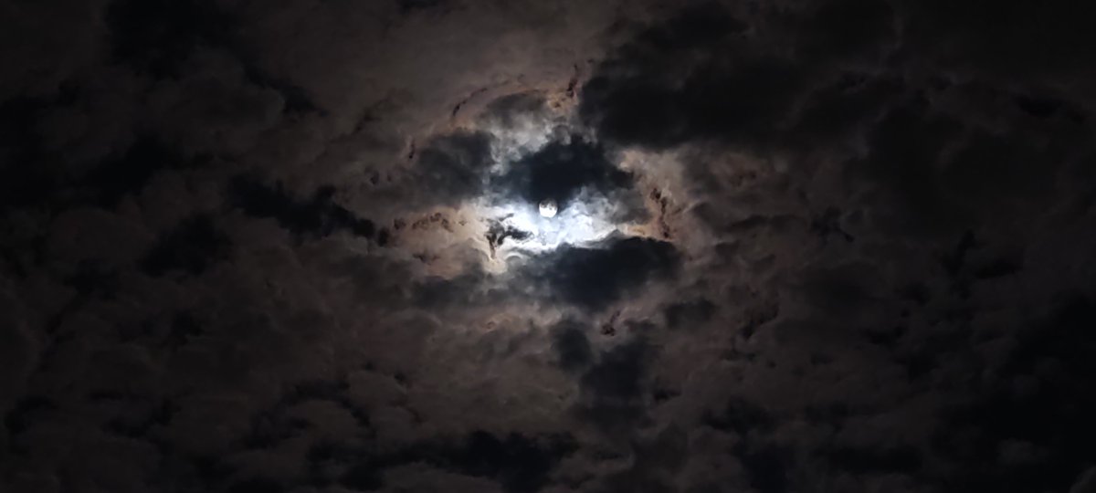 El Dentista tweet media