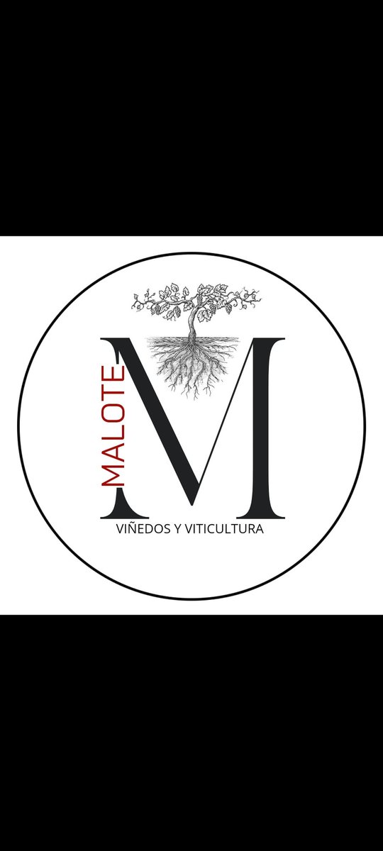 malotevino's tweet photo. Cosas que se avecinan. #proyecto #malote #malotes #vino #viticultura #wine #vinomalote #vinoteca #bodega #shoppingonline #shopping #murcia #jumilla #dopjumilla #españa #spain #navidad #diciembre #viral #parati #foryou #miercoles #felizdia #go #top #ilusion https://t.co/0SSHTCf026