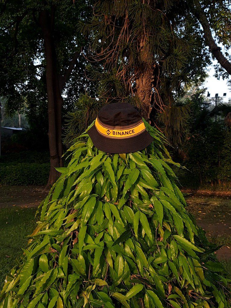 binance's tweet image. This tree just went from a 5 to a 10/10.

📸 @RealJassia