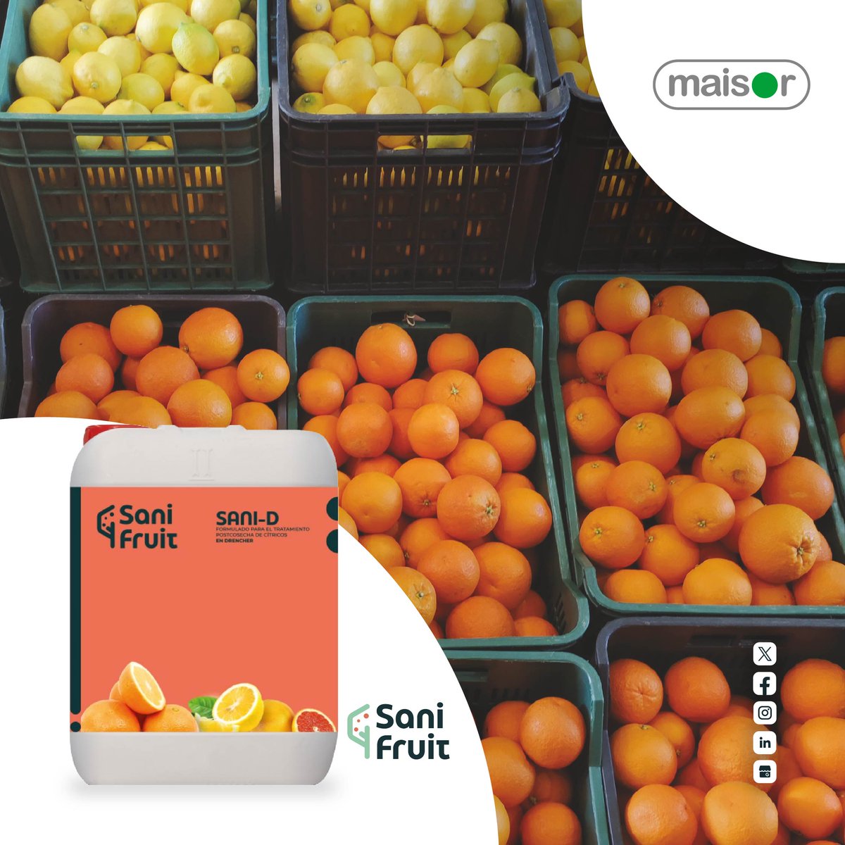 ♻️Sani-D es un formulado de <a href="/Sanifruit1/">Sanifruit</a> a base de aditivos y extractos vegetales:
Protege la fruta contra alteraciones de agentes externos 
disminuyendo mermas
alargando la vida comercial
mejorando el aspecto de la fruta.   
¿Querés conocer más? 
<a href="/Fefodeandrea/">Federico De Andrea</a> 
<a href="/IacovoMatias/">Matias De Iacovo</a>