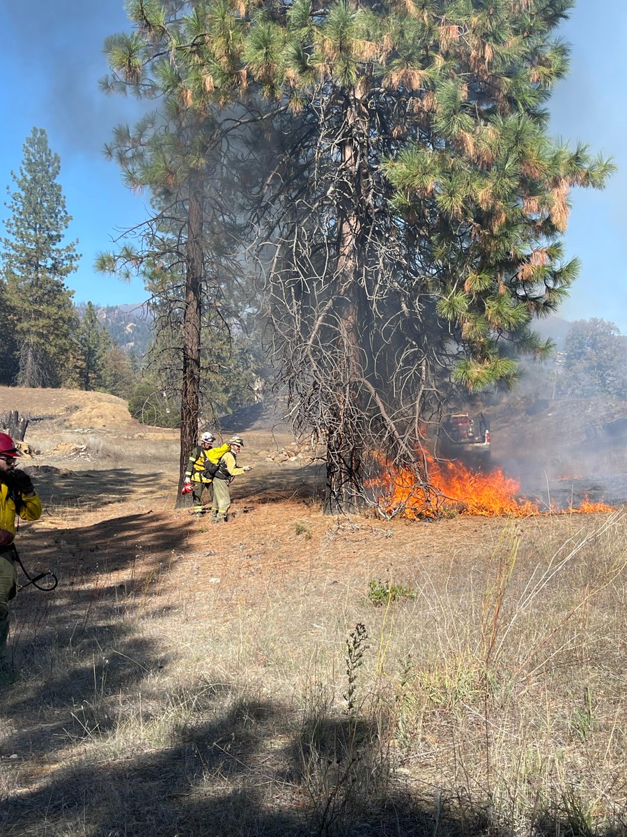 USFWS Fire (Archived) tweet media
