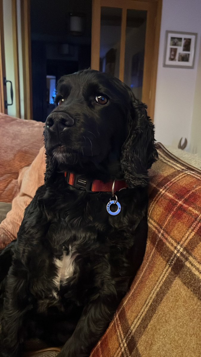 jonny wiles tweet media