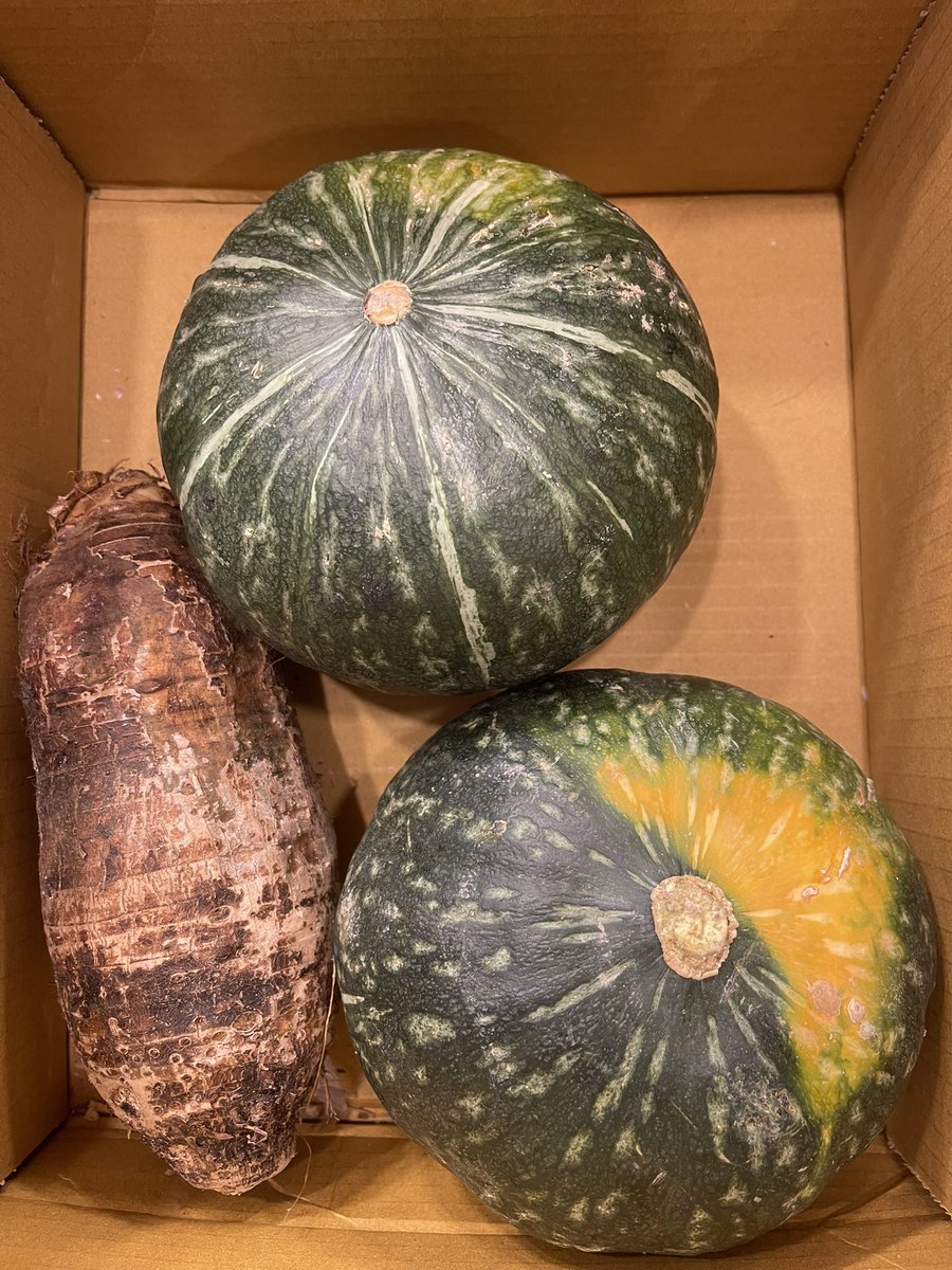 I already ate one, in less than 24h, but I’ve got 2 left.

#cantbestopped #kabocha #japanesepumpkin #2left #squash