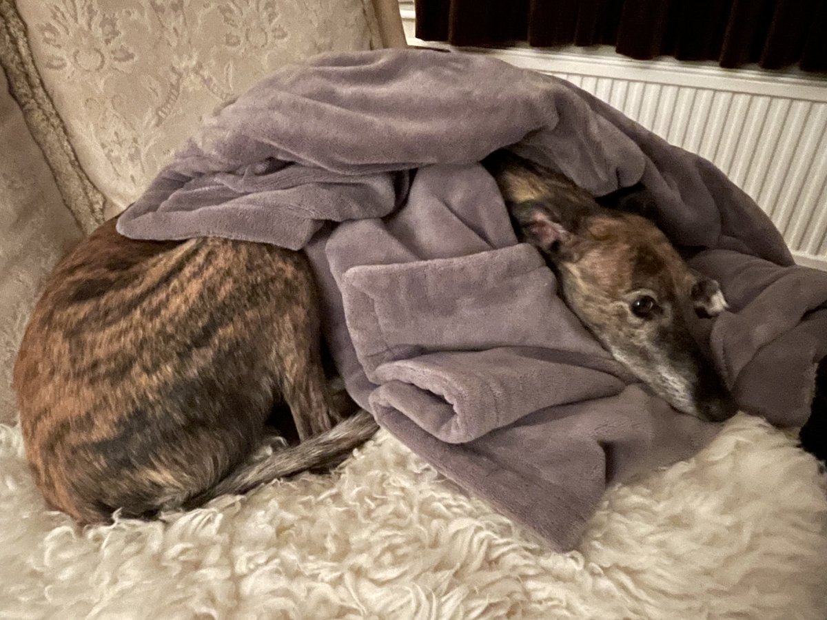 Storm Gerrit. I may not be warm enough.