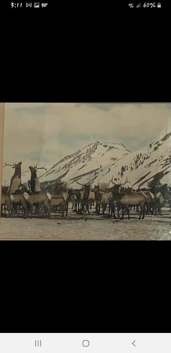 facebook.com/groups/3975262… victor idaho