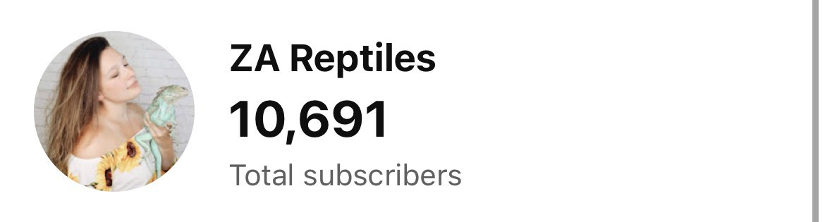 ZA_Reptiles's tweet photo. Soooo close to 10.7k 👀🥹

https://t.co/KRNU8oyBqk https://t.co/rayJp4ml1A
