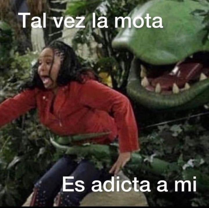 Soy el vicio
