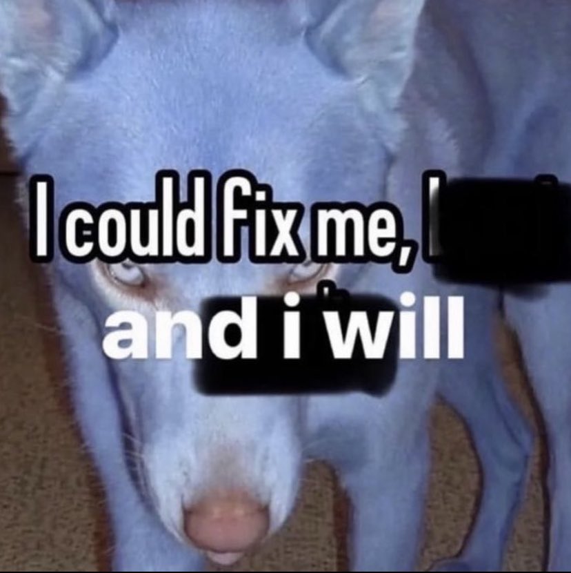 runwayinchicago's tweet image. Without downloading any new pics, what’s your energy going into 2024?

no explanation needed