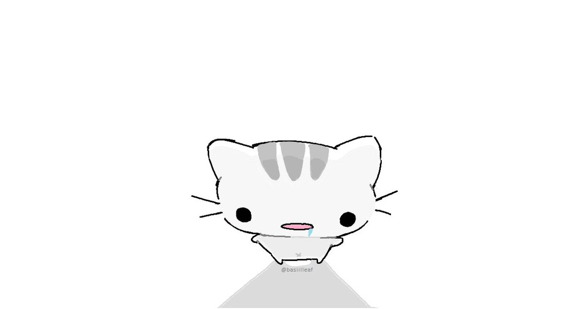 stupid idiot wallpaper: