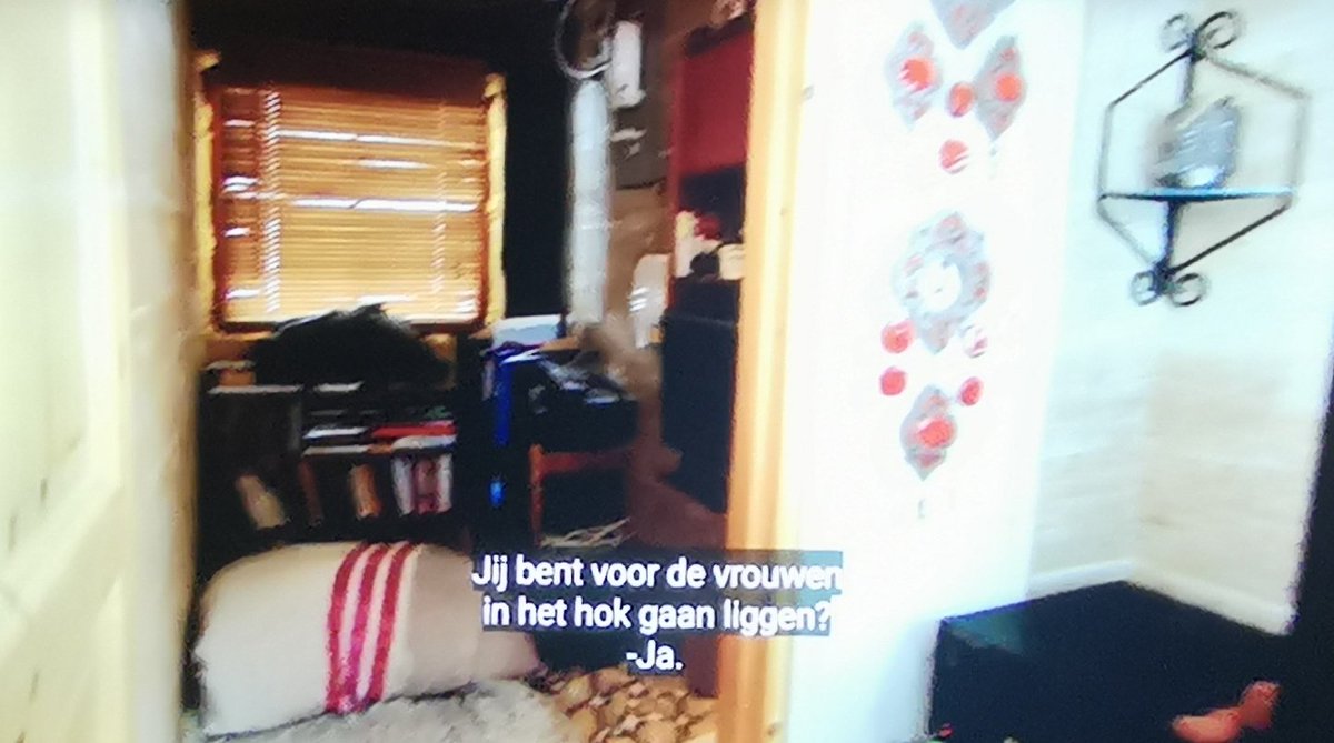 JoyceDFoto's tweet image. #Olof zit met een grote glimlach voor de tv nu. 😀

#Prima #niksmismee
#wintervolliefde